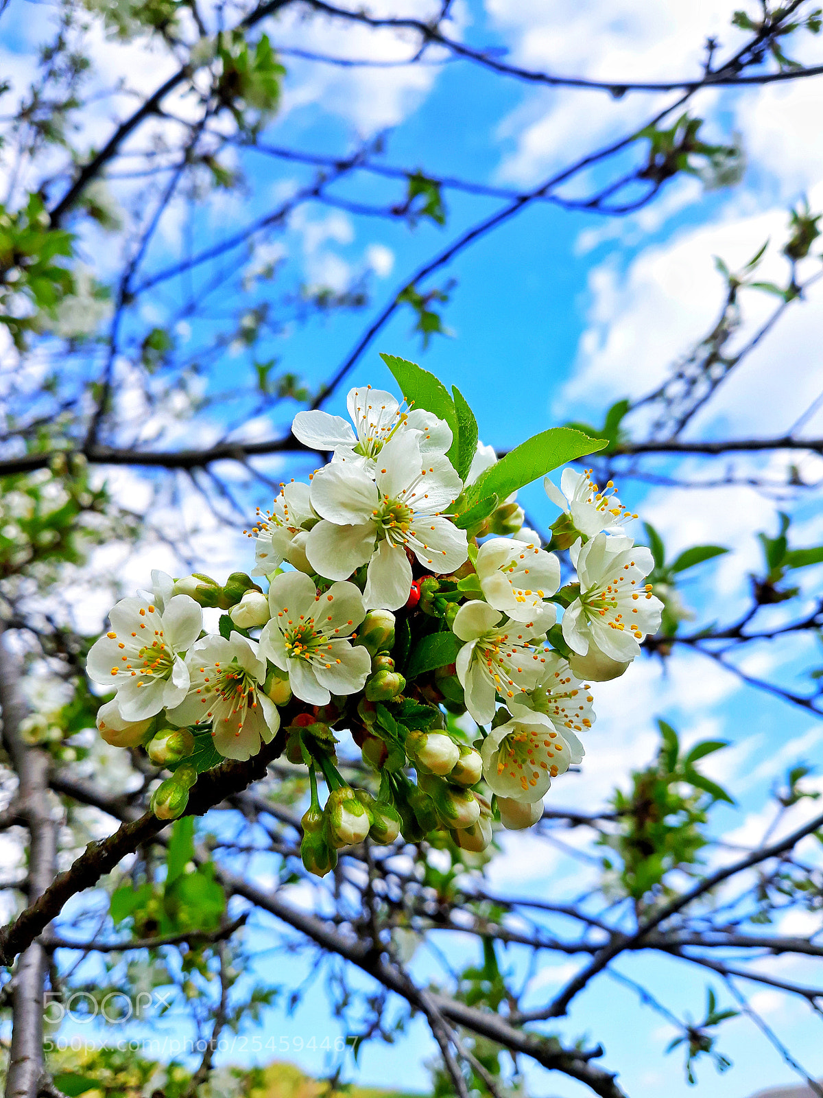 Samsung Galaxy J5 sample photo. Untitled photography