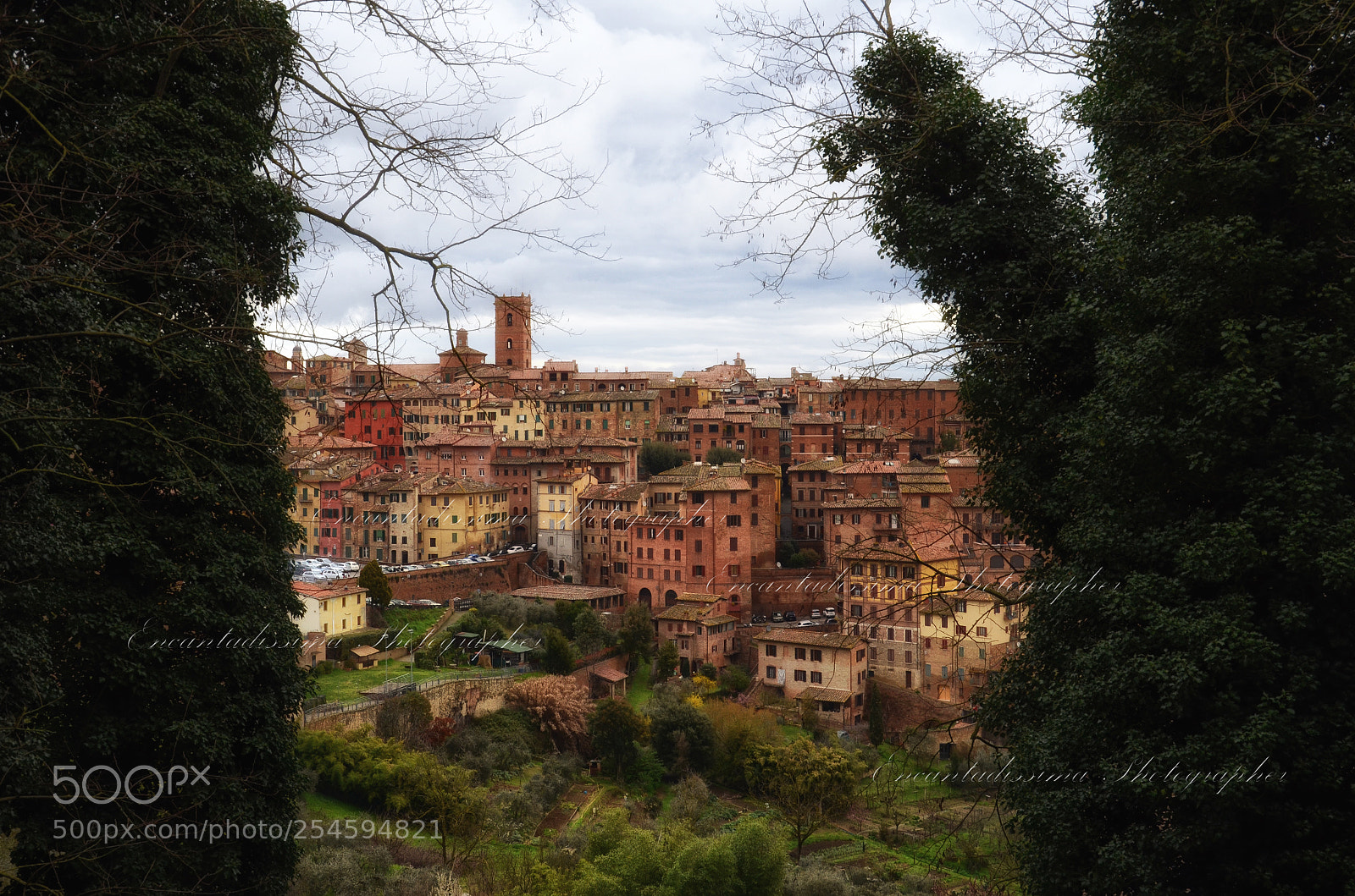 Nikon D7000 sample photo. I mille occhi di photography