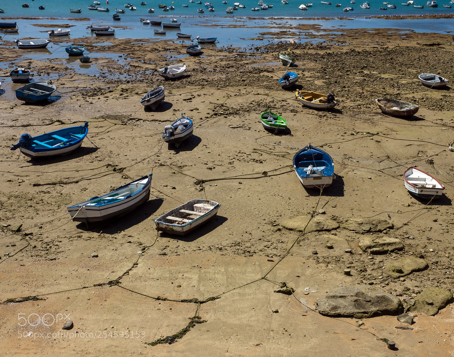Sony SLT-A77 sample photo. The network photography