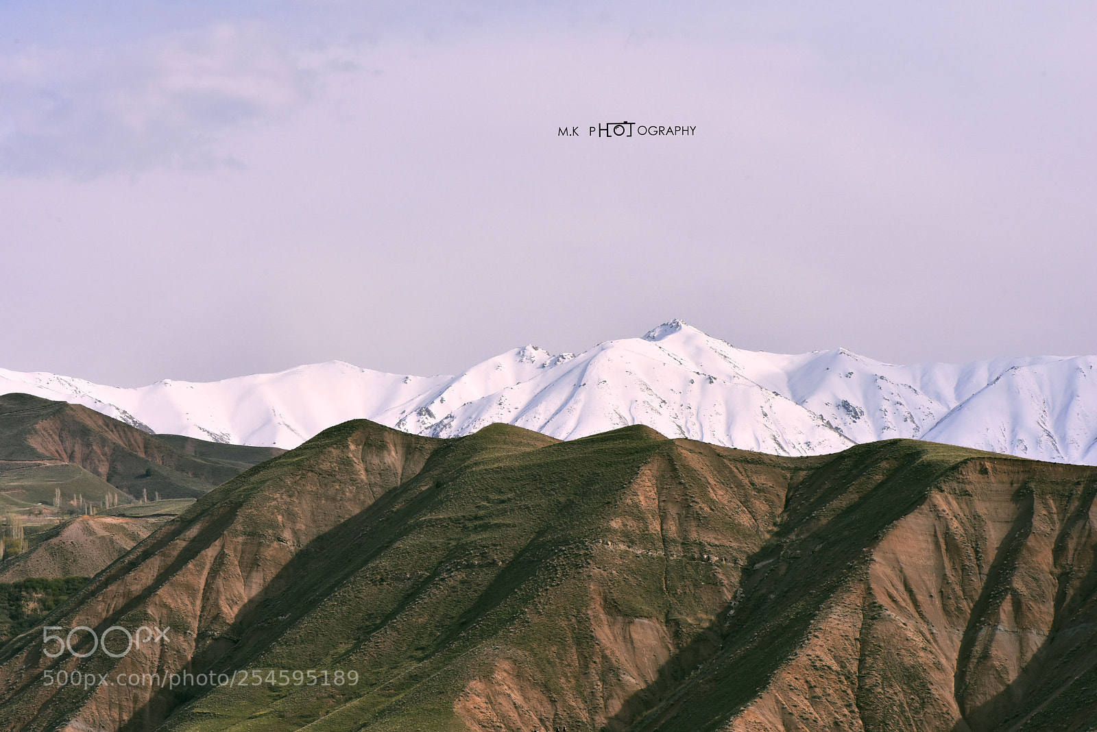 Nikon D810 sample photo. Untitled photography