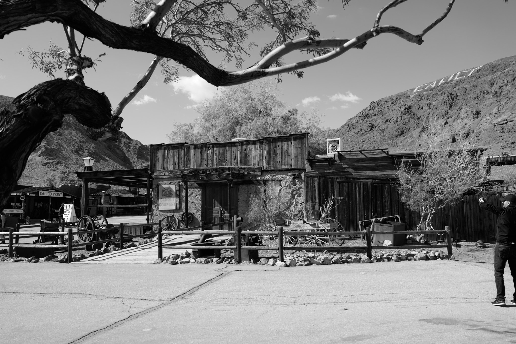Leica CL sample photo