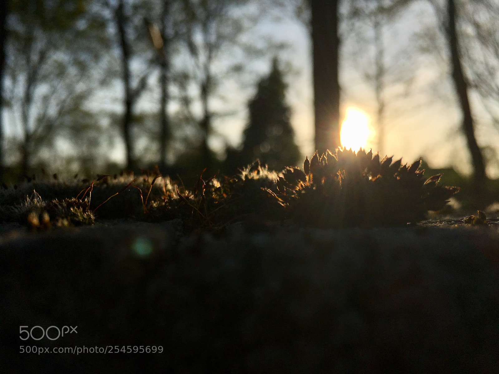 Apple iPhone 6s sample photo. Sunset photography