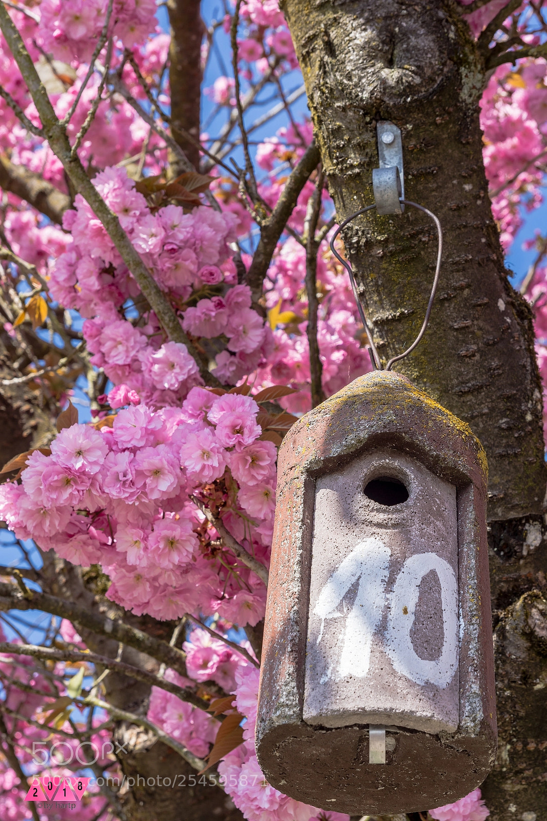 Nikon D7200 sample photo. Nummer 10 photography