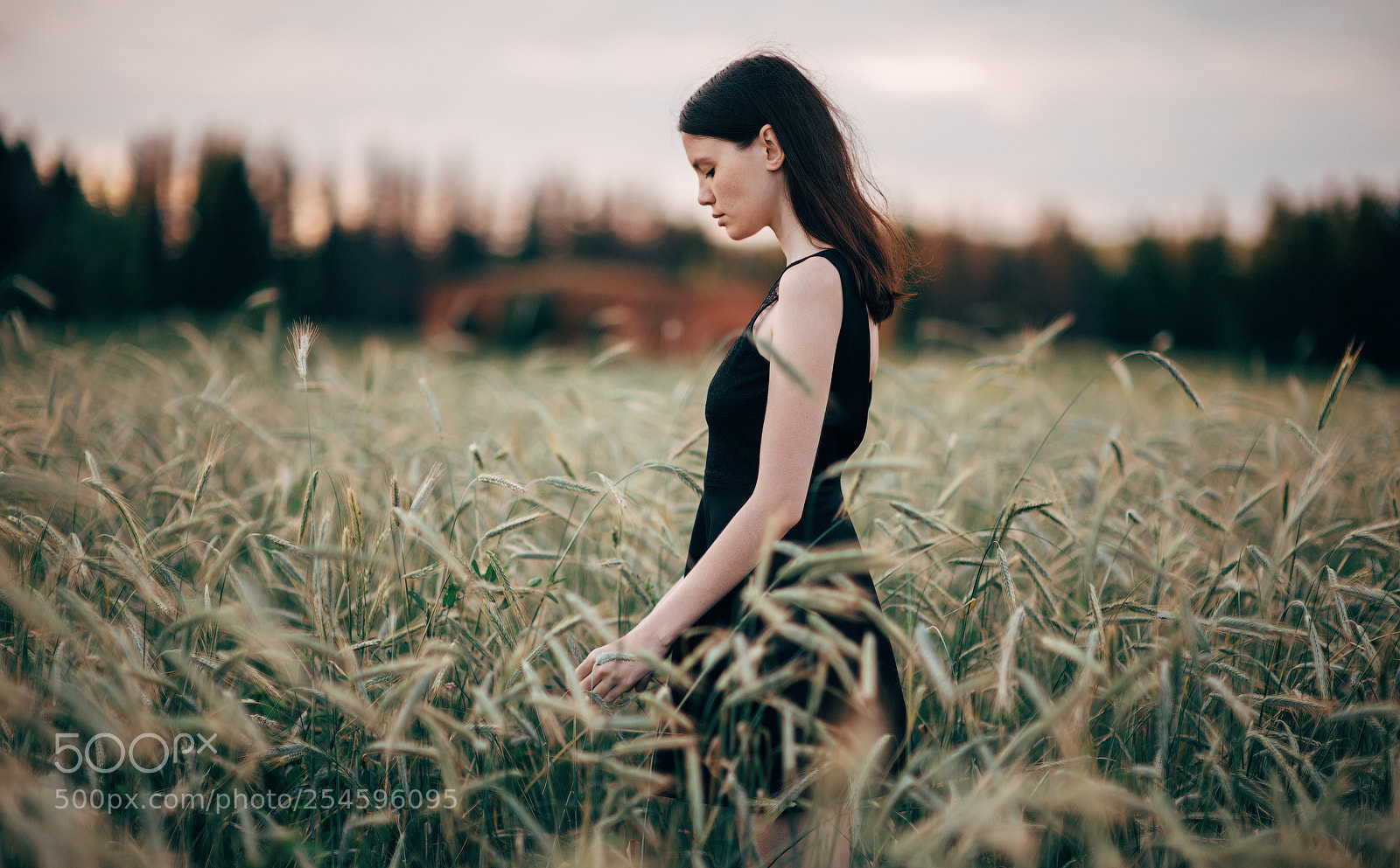 Nikon D700 sample photo. Нефтекамск photography