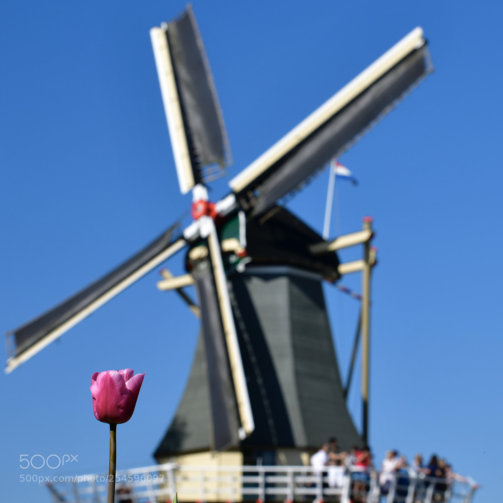 Nikon D850 sample photo. 2 symbols of nederland  photography