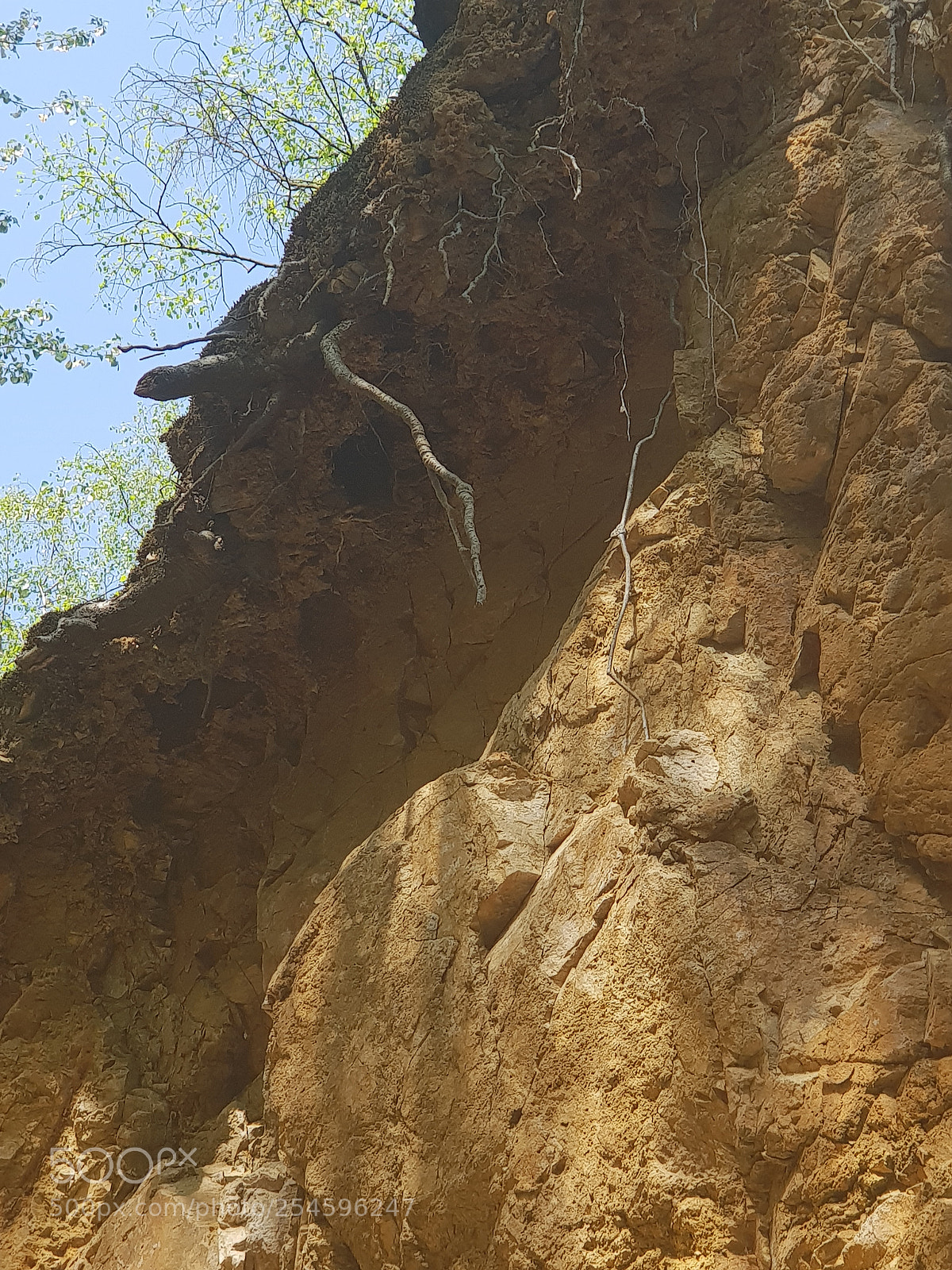 Samsung Galaxy S9+ sample photo. Untitled photography