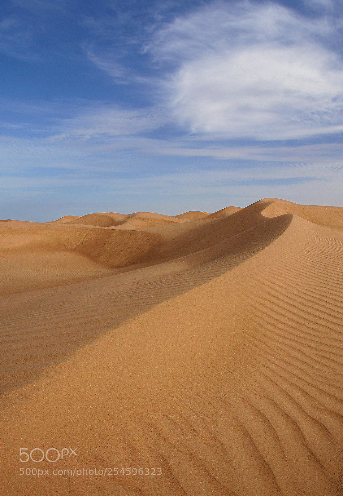 Canon EOS 350D (EOS Digital Rebel XT / EOS Kiss Digital N) sample photo. Oman sand photography