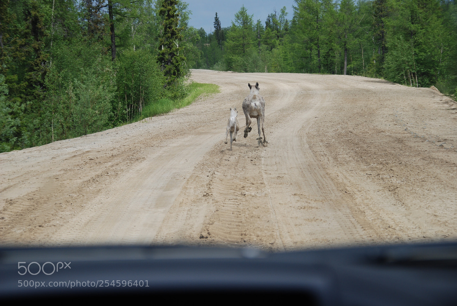 Nikon D80 sample photo. Untitled photography