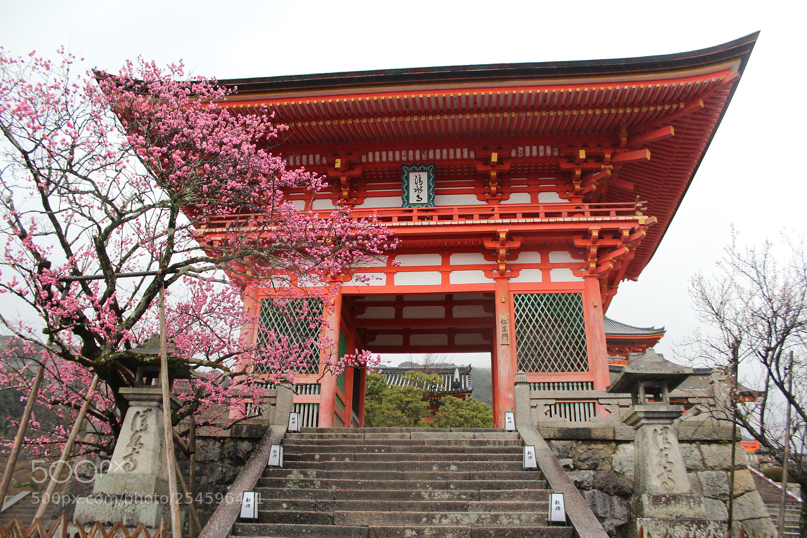 Canon EOS 1200D (EOS Rebel T5 / EOS Kiss X70 / EOS Hi) sample photo. Spring in japan photography