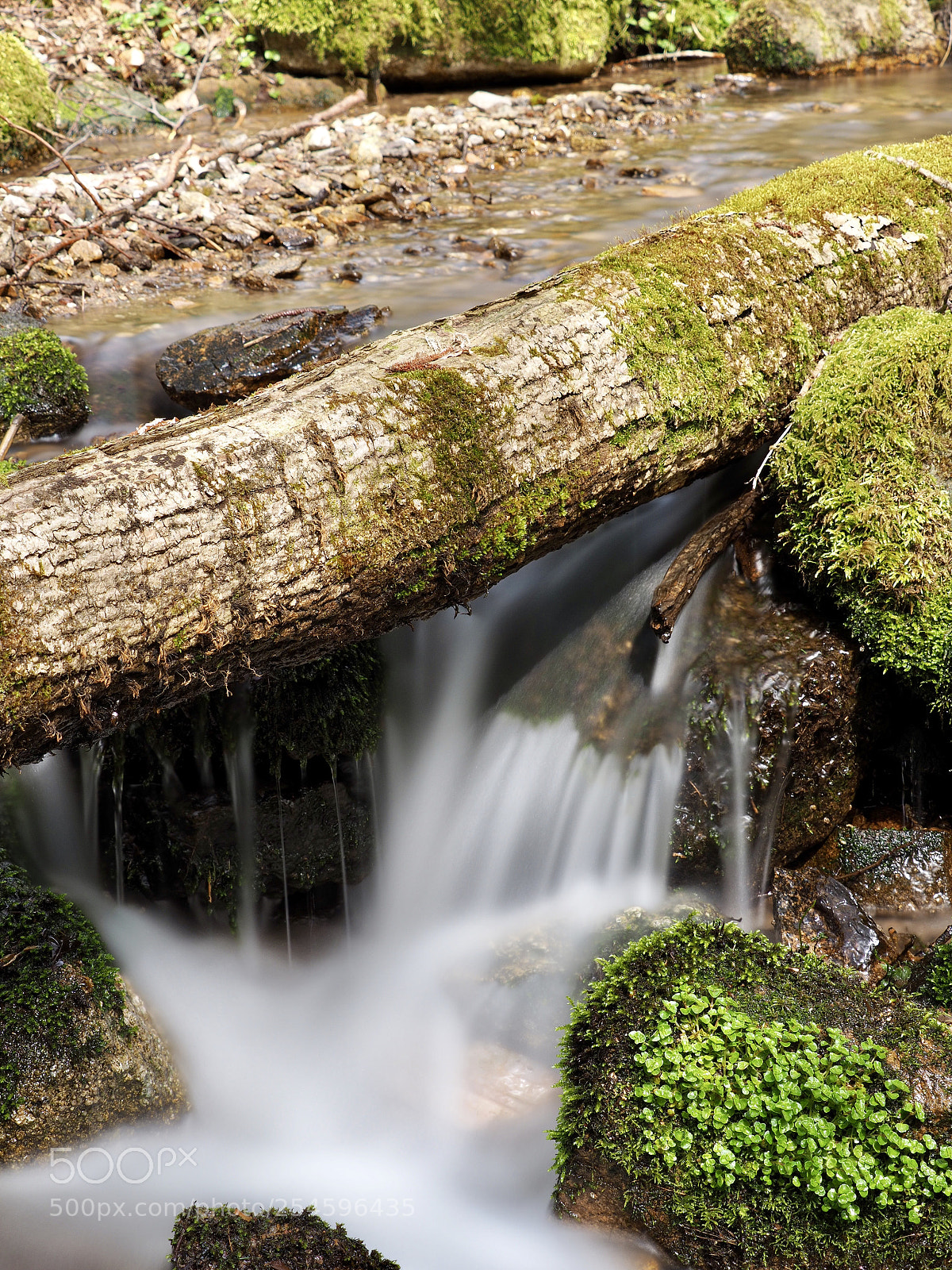Olympus OM-D E-M10 II sample photo. Creek photography