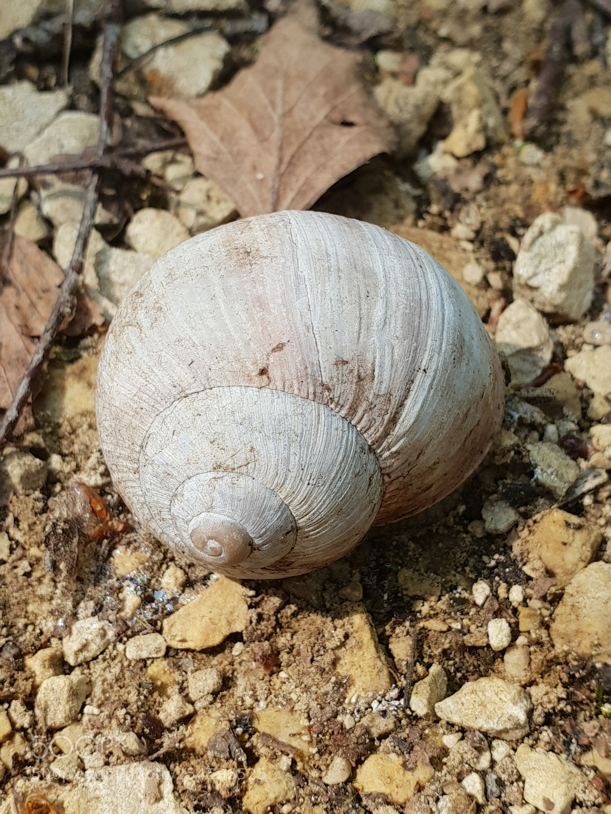 Samsung Galaxy S9+ sample photo. Untitled photography