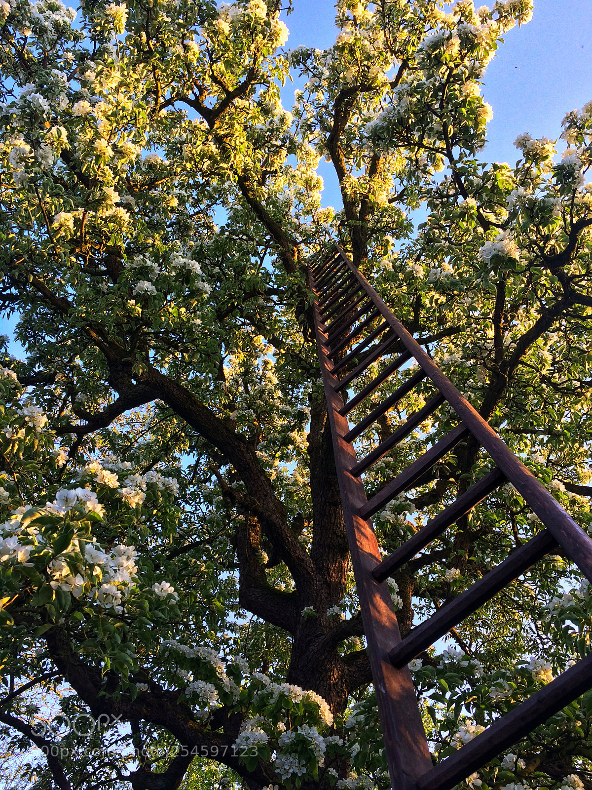Apple iPhone 5s sample photo. Stairway photography