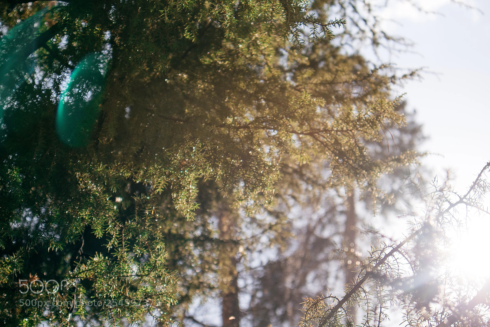 Canon EOS M3 sample photo. Spring days 1 photography