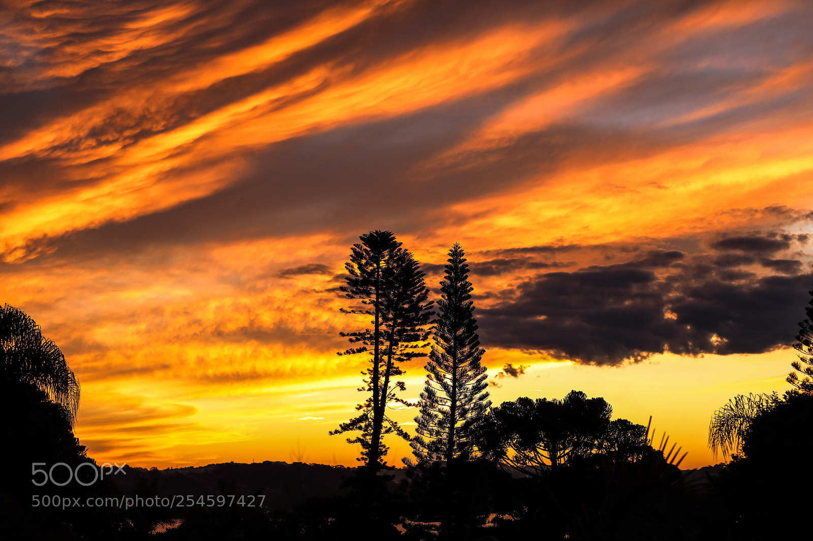 Canon EOS 5D Mark IV sample photo. Nature vibes | sunset photography