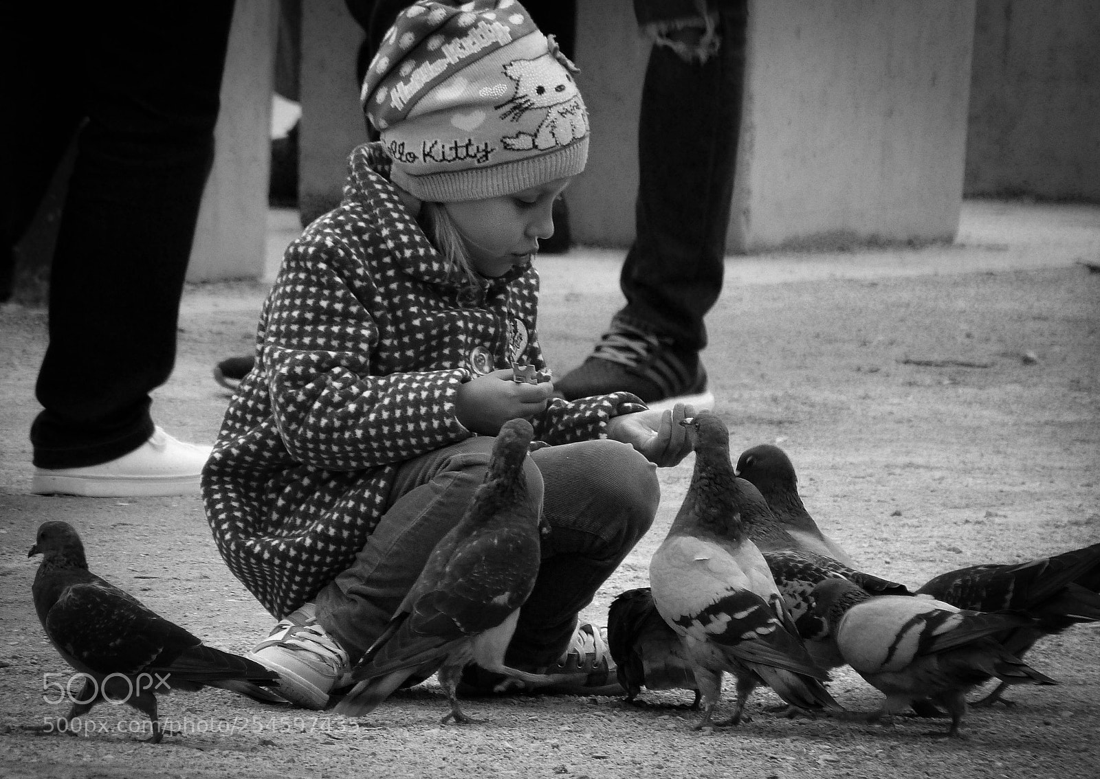 Panasonic Lumix DMC-FZ40 (Lumix DMC-FZ45) sample photo. Feeding the pigeons photography