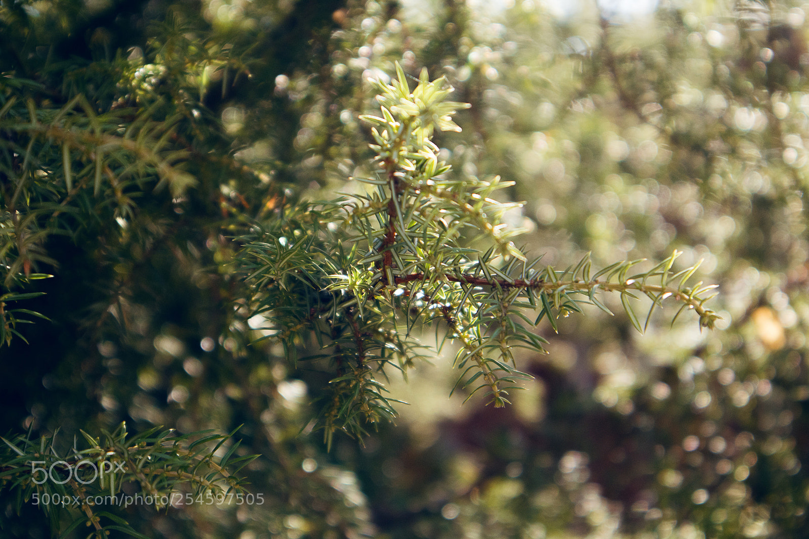 Canon EOS M3 sample photo. Spring days 3 photography