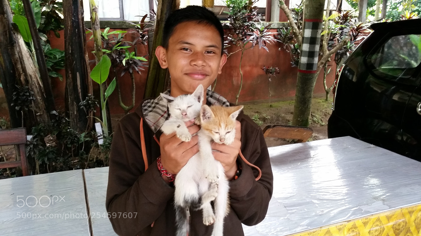 Samsung Galaxy S5 sample photo. Kittens photography