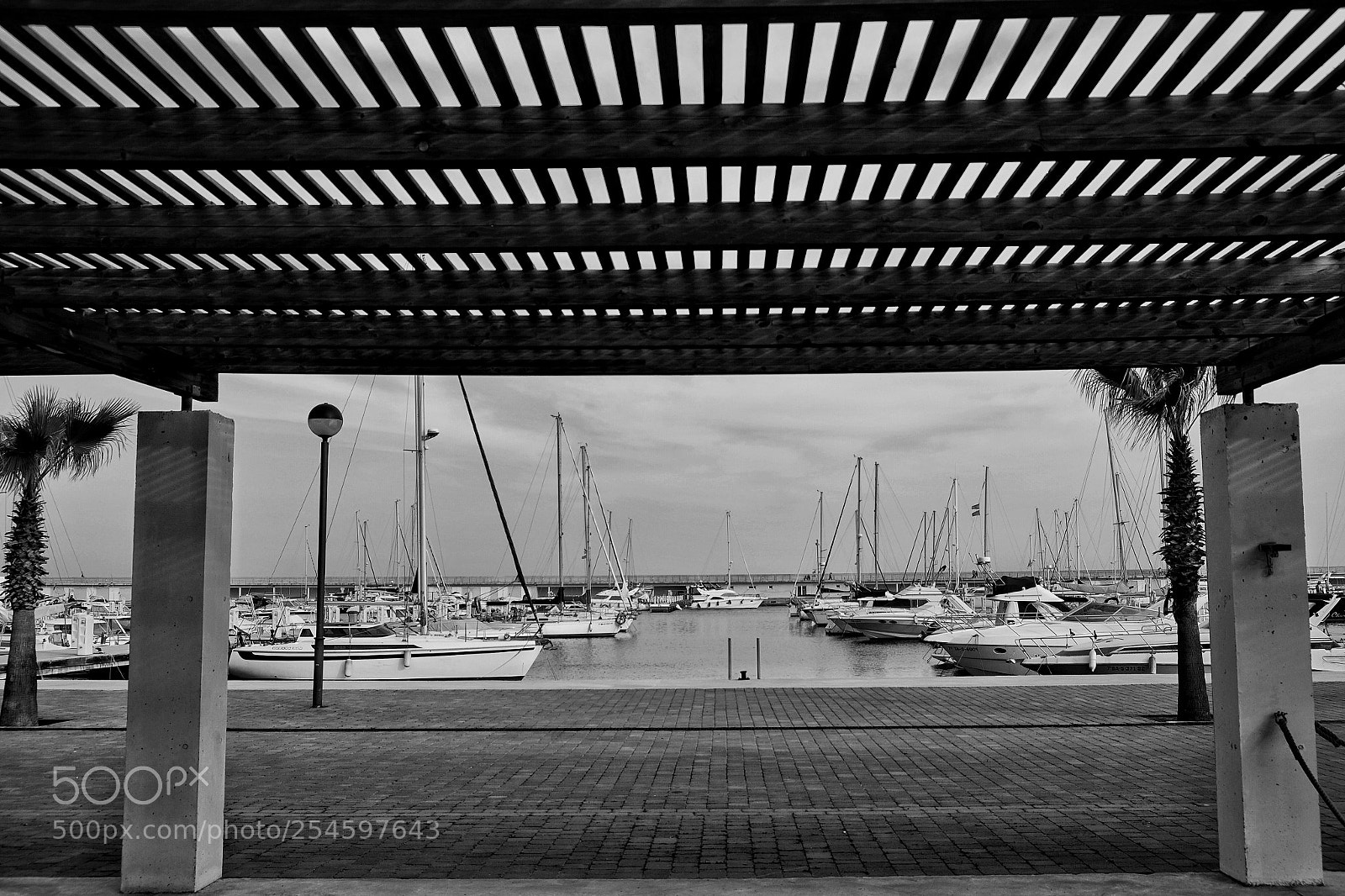 Fujifilm X-Pro1 sample photo. Untitled photography
