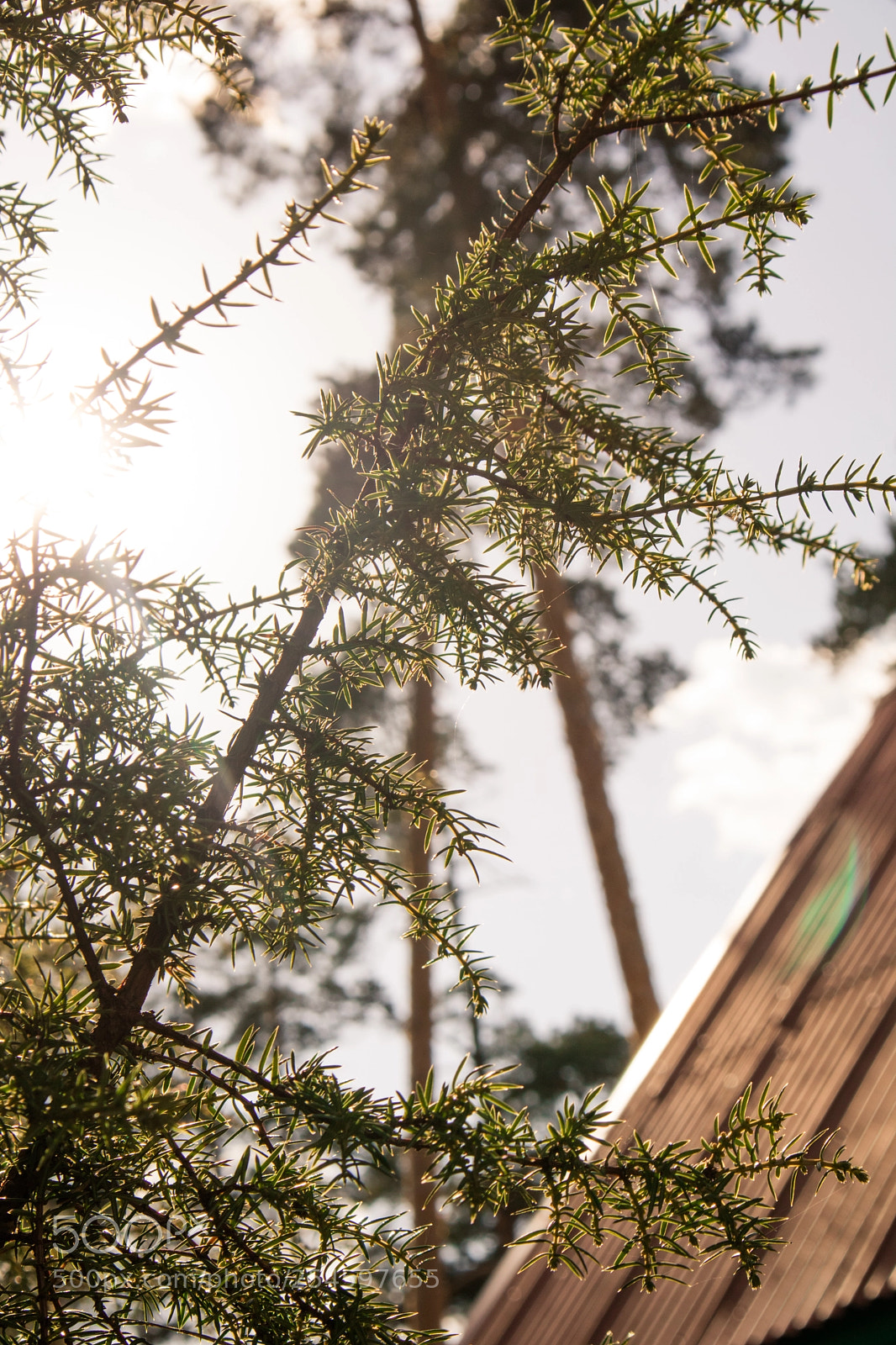 Canon EOS M3 sample photo. Spring days 4 photography