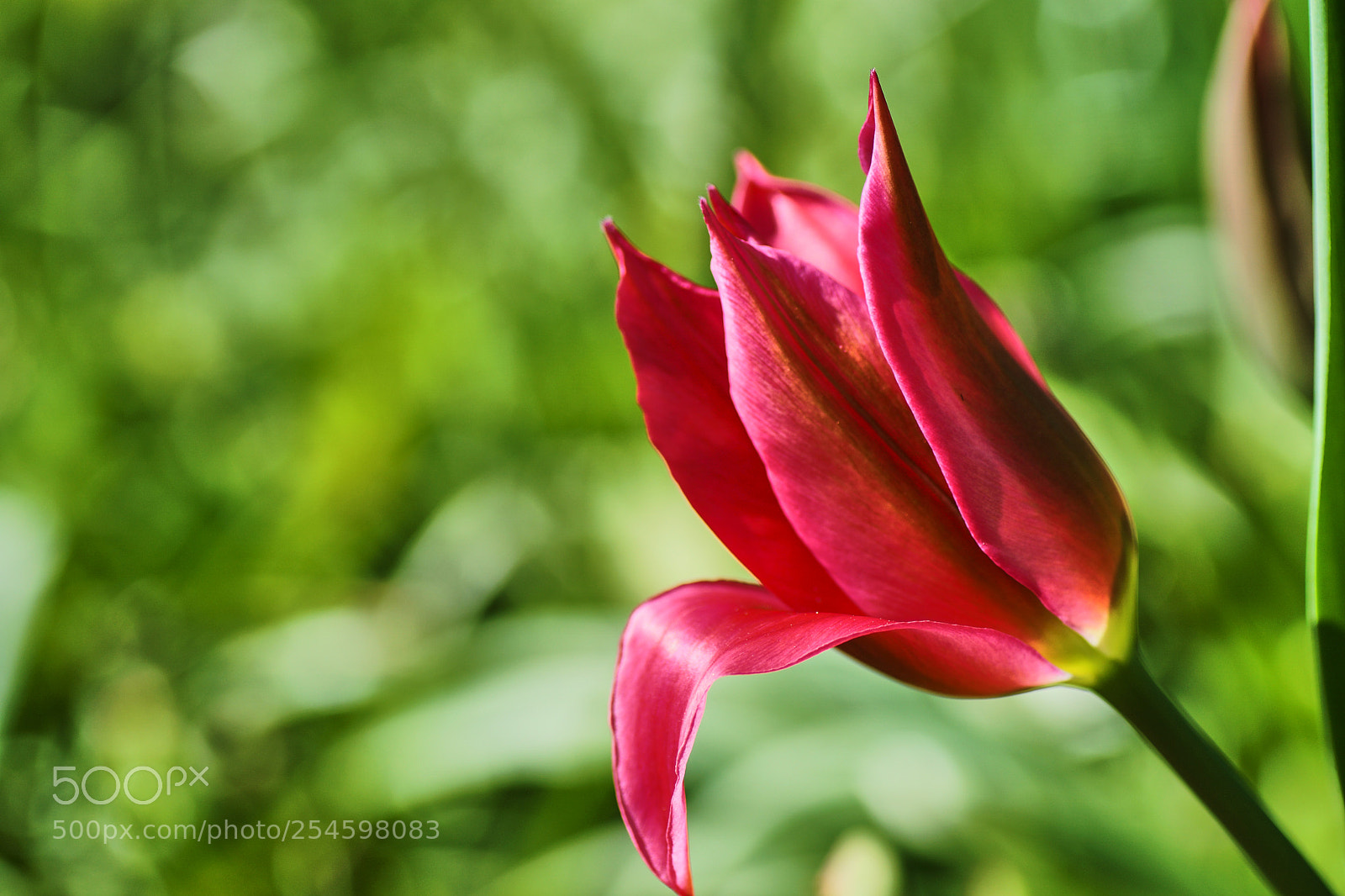 Sony ILCA-77M2 sample photo. Powerful photography