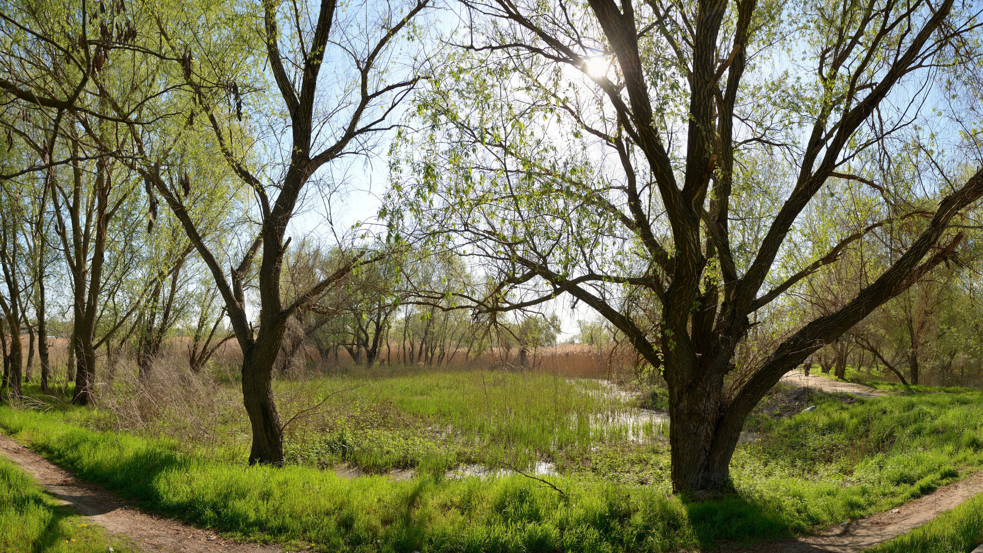Nikon D7000 sample photo. Panorama photography