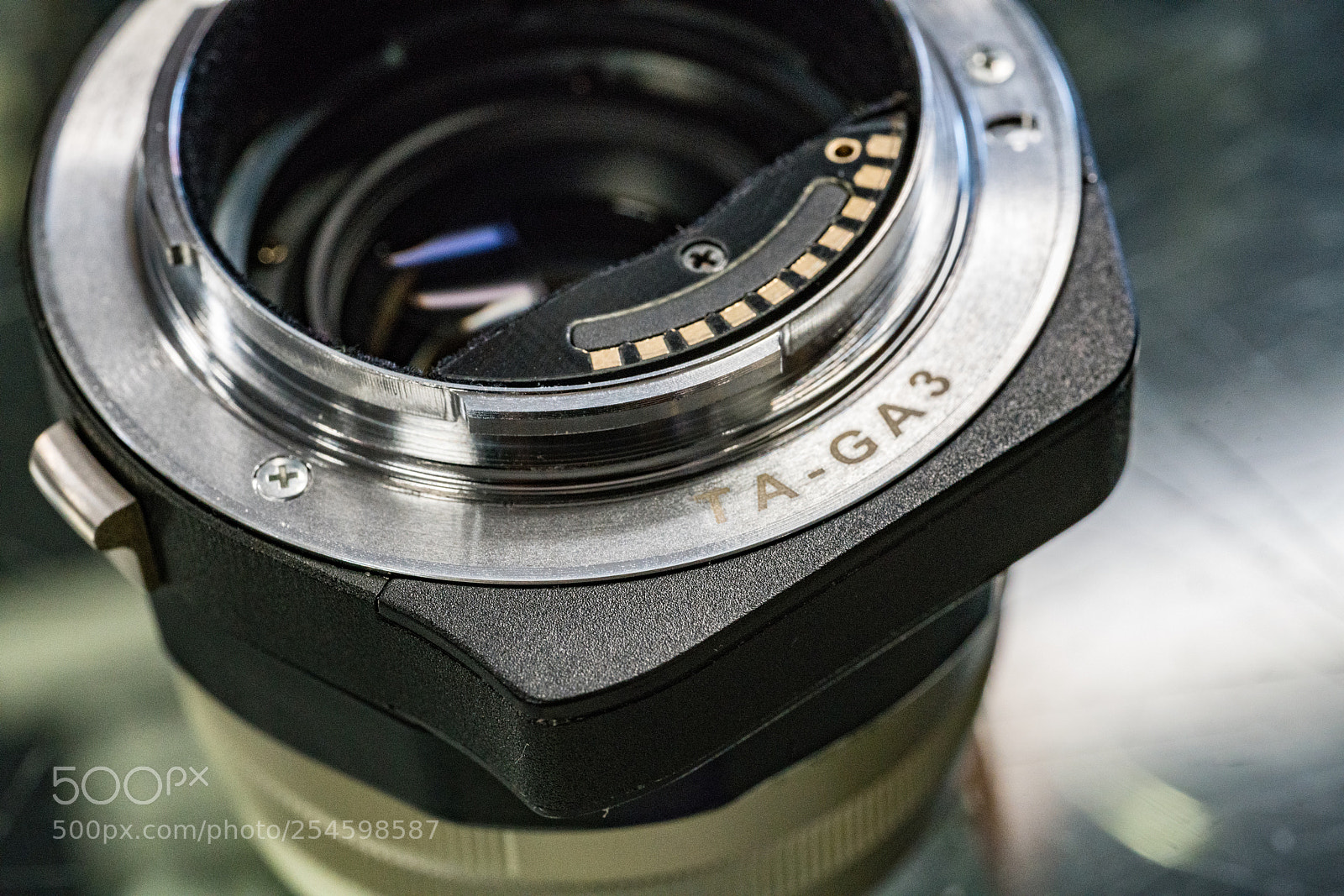 Sony a7R II sample photo. Techart ta-ga3 photography