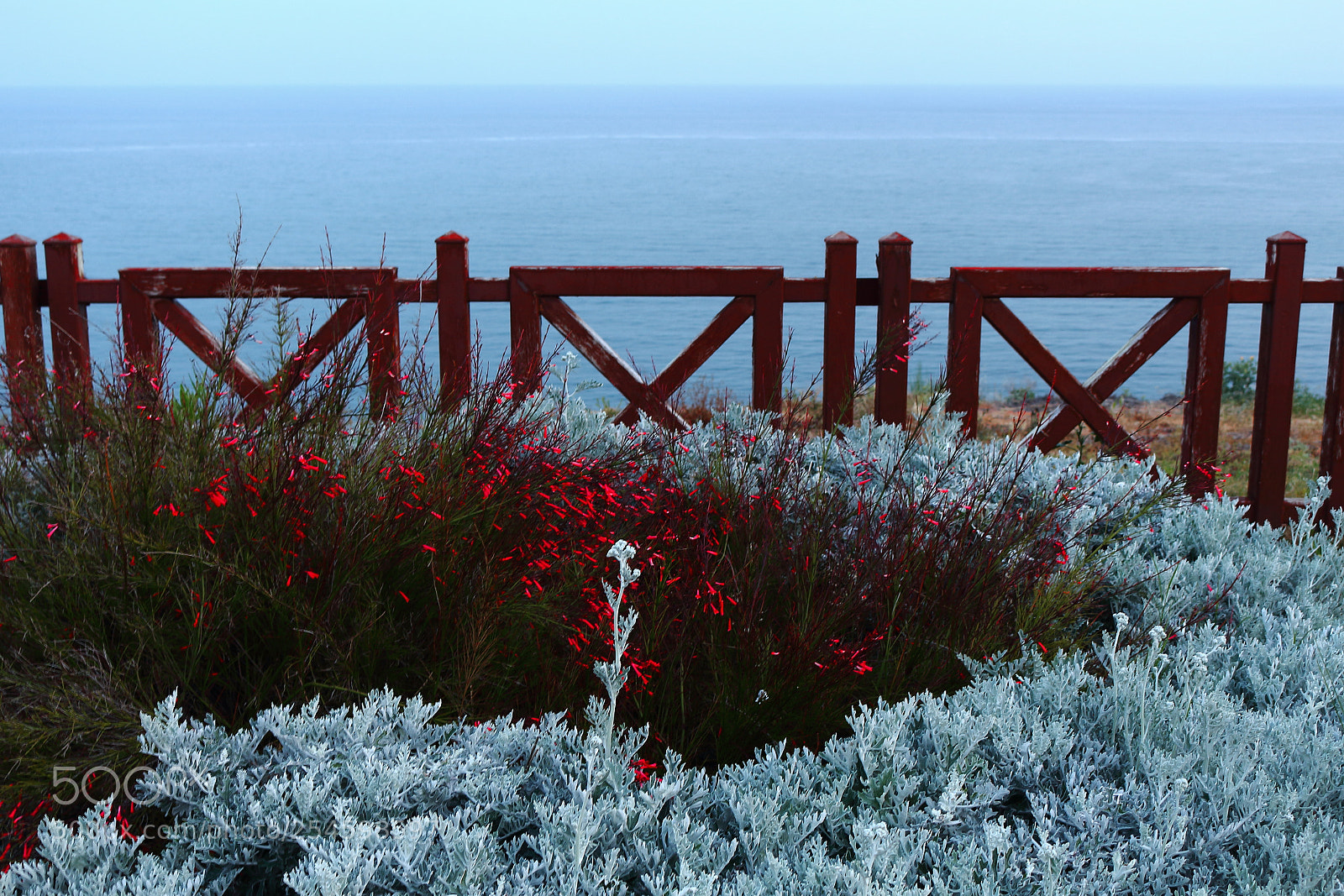 Canon EOS 700D (EOS Rebel T5i / EOS Kiss X7i) sample photo. Coastline photography