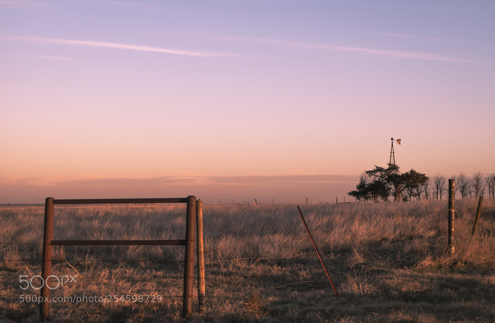 Nikon D3300 sample photo. Fenced in photography