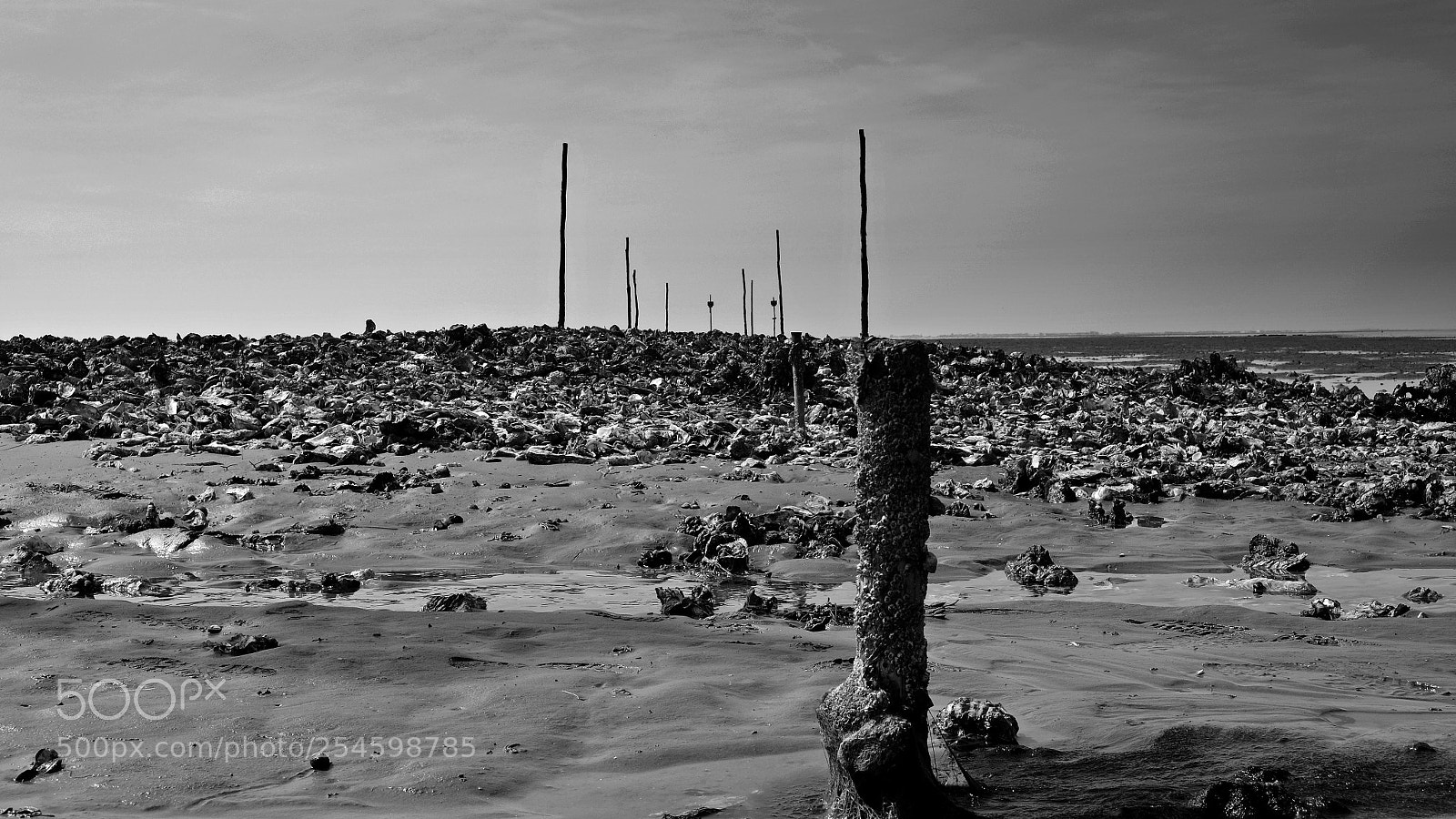 Fujifilm X-T10 sample photo. Old oysterbank photography