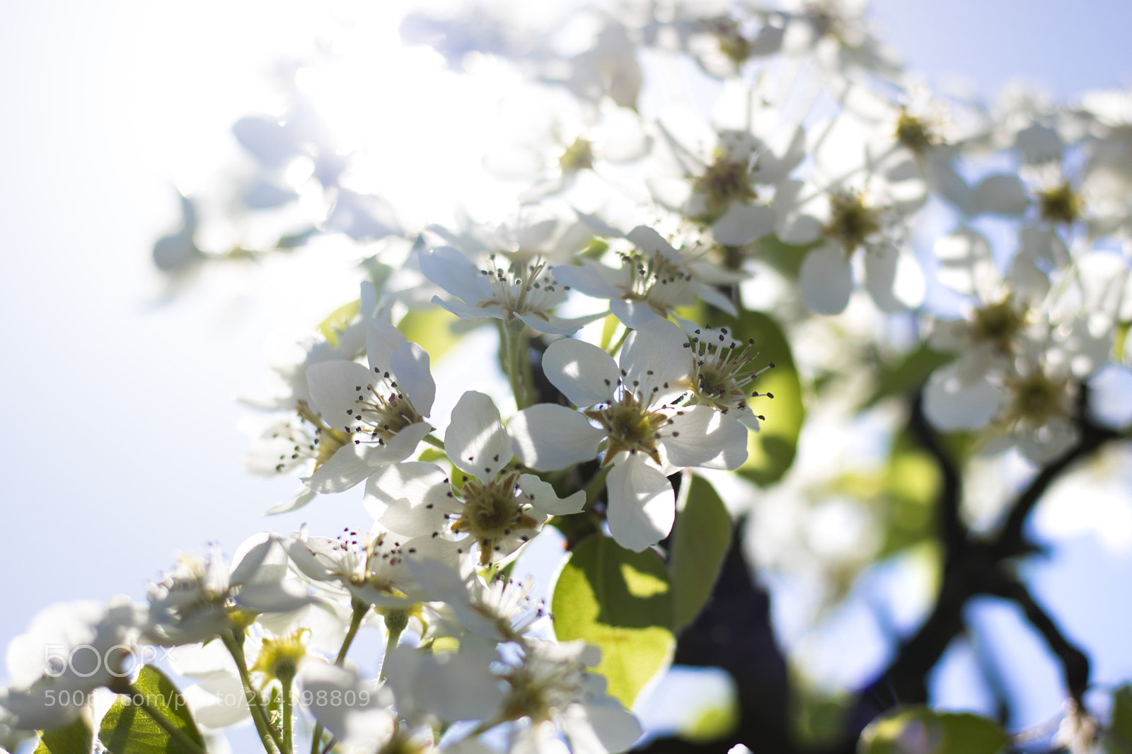 Canon EOS 750D (EOS Rebel T6i / EOS Kiss X8i) sample photo. Img photography