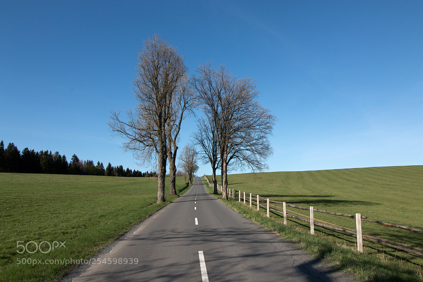 Canon EOS 70D sample photo. On the road photography