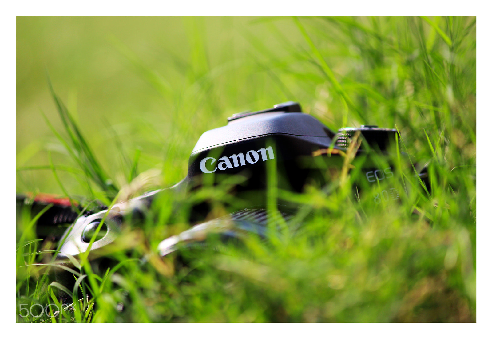Canon EOS 700D (EOS Rebel T5i / EOS Kiss X7i) sample photo. #canon#lovecanon photography