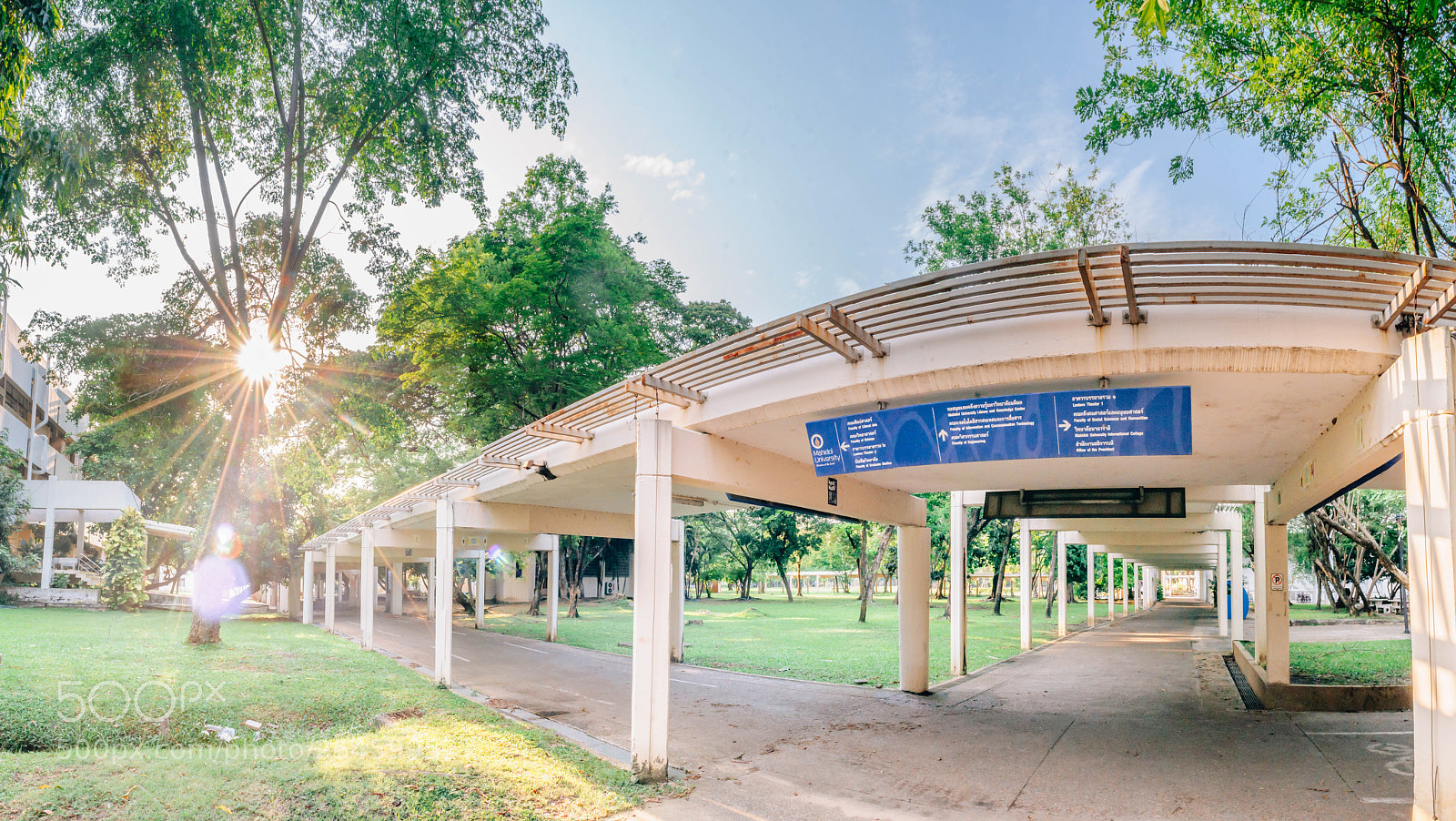 Nikon D5000 sample photo. Pathway "l" photography
