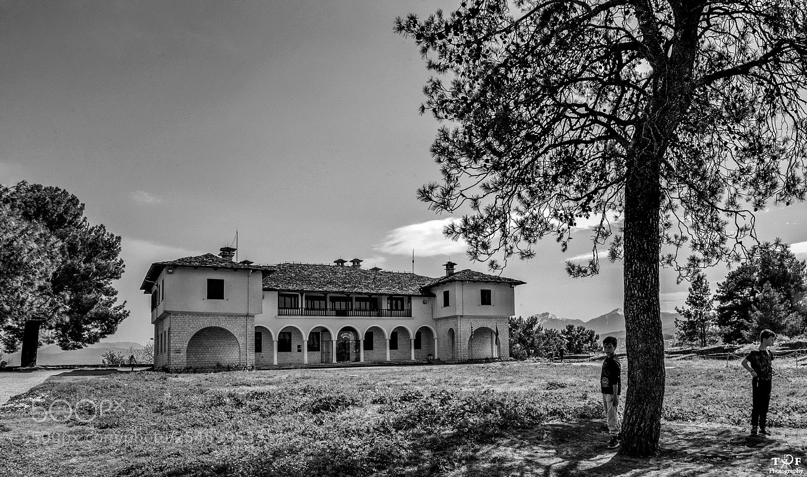 Nikon D610 sample photo. Untitled photography
