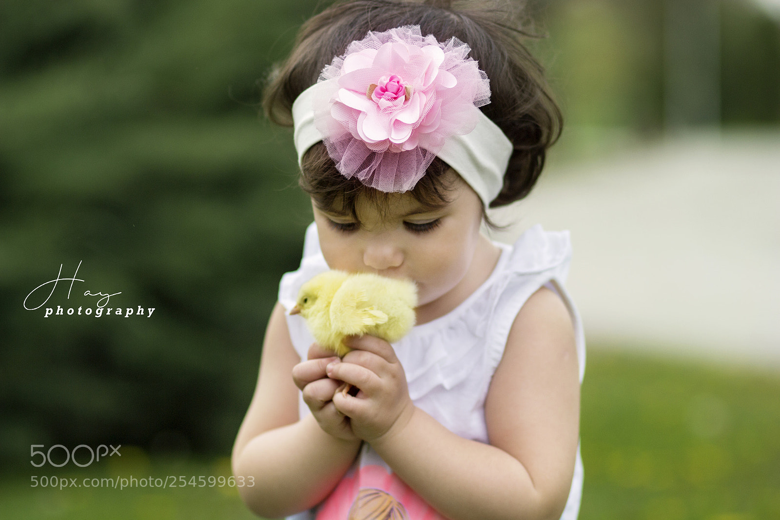Canon EOS 700D (EOS Rebel T5i / EOS Kiss X7i) sample photo. Untitled photography