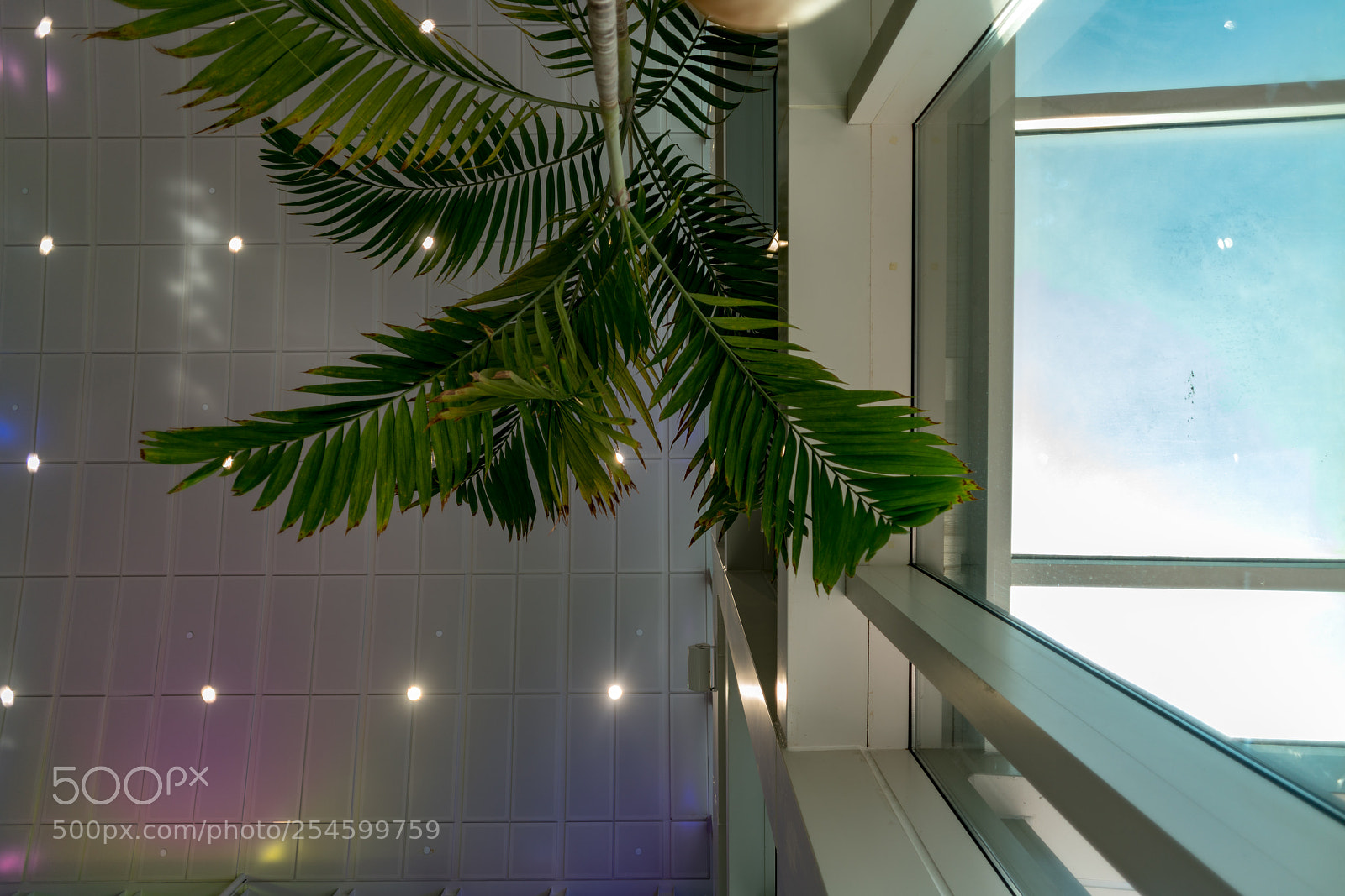 Sony a7R II sample photo. Random photography