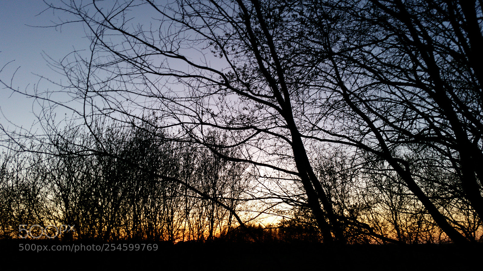 Samsung Galaxy S5 sample photo. Colors of sunset photography