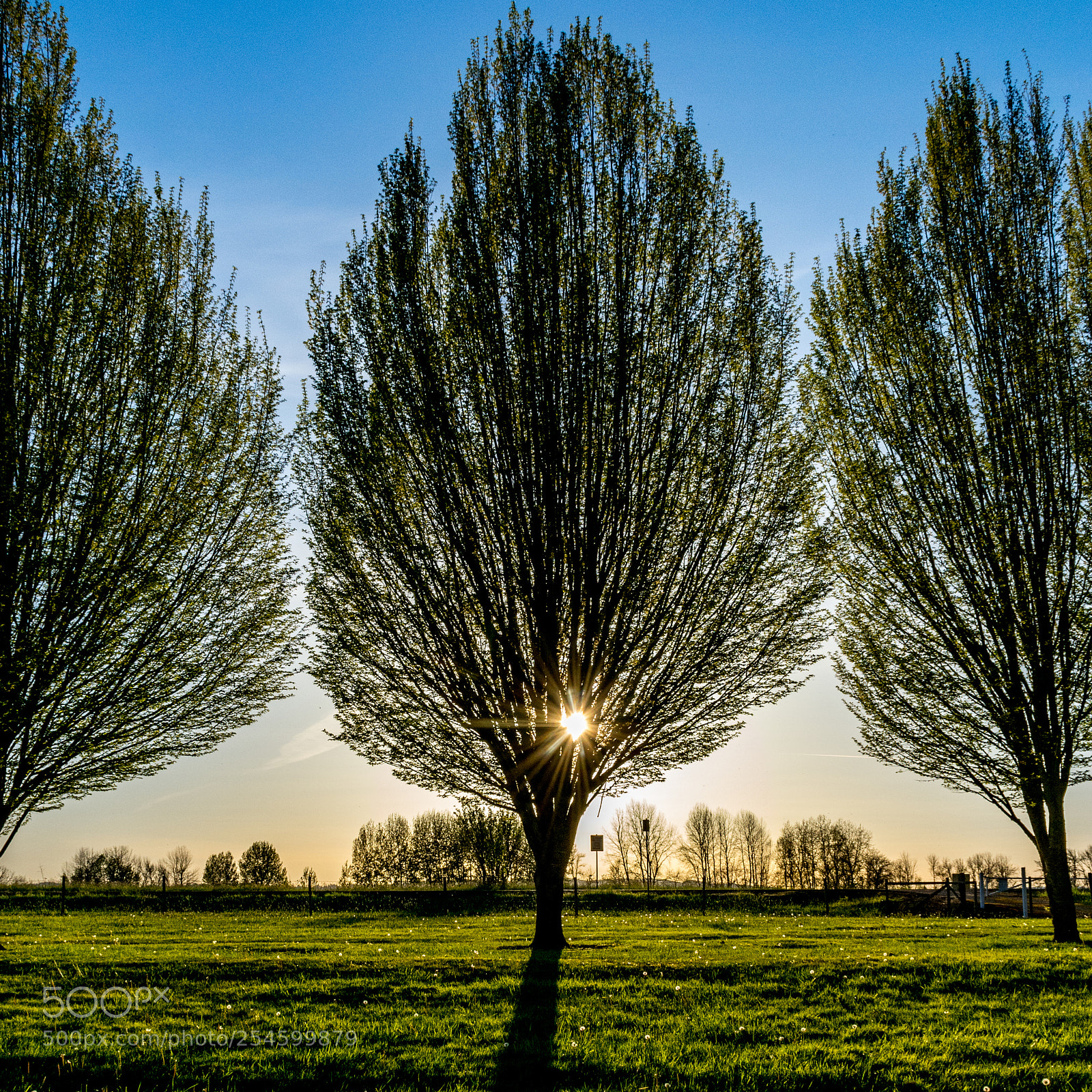 Nikon D7100 sample photo. Sunset photography