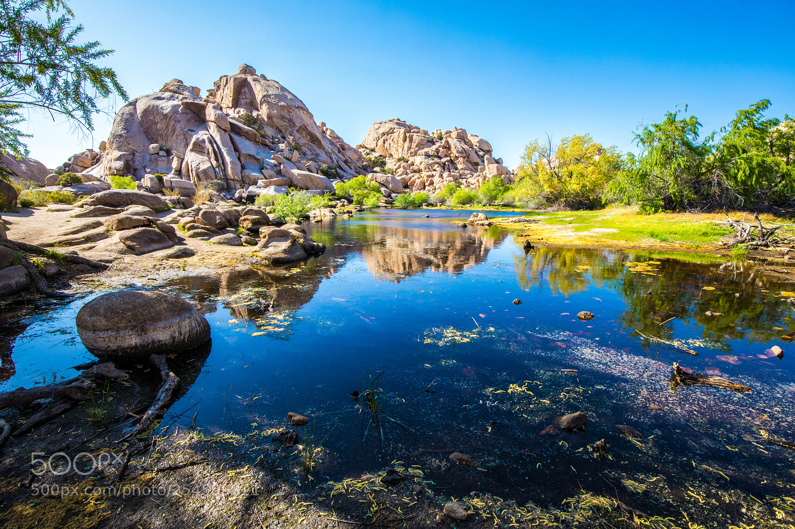 Canon EOS 5D Mark IV sample photo. Barker dam, joshua tree photography