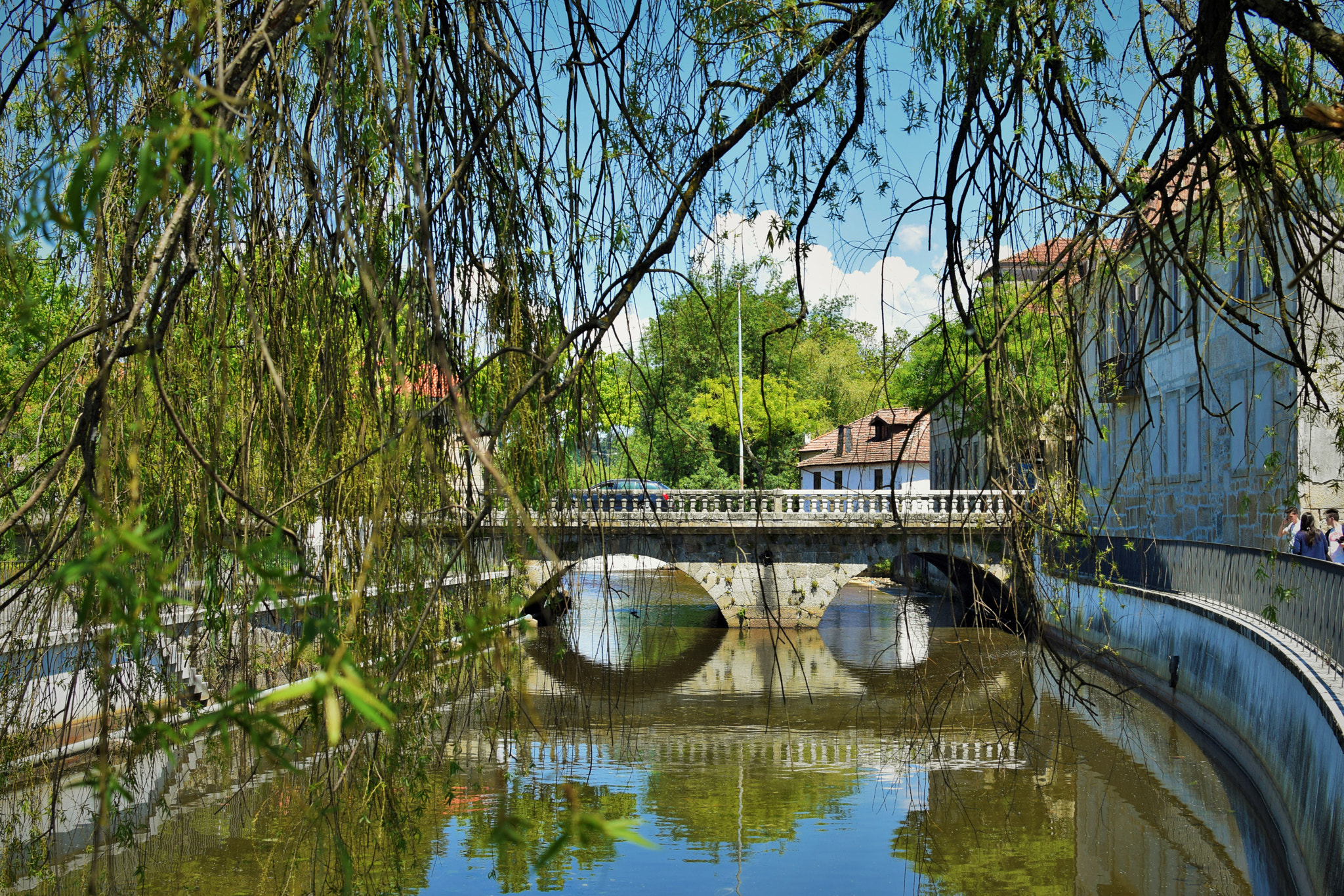 Nikon D5300 sample photo. Viseu em maio de 2016. photography