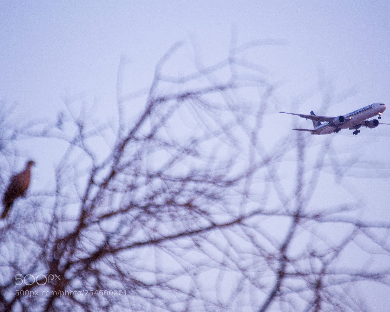 Nikon D3100 sample photo. The throwback to winter photography