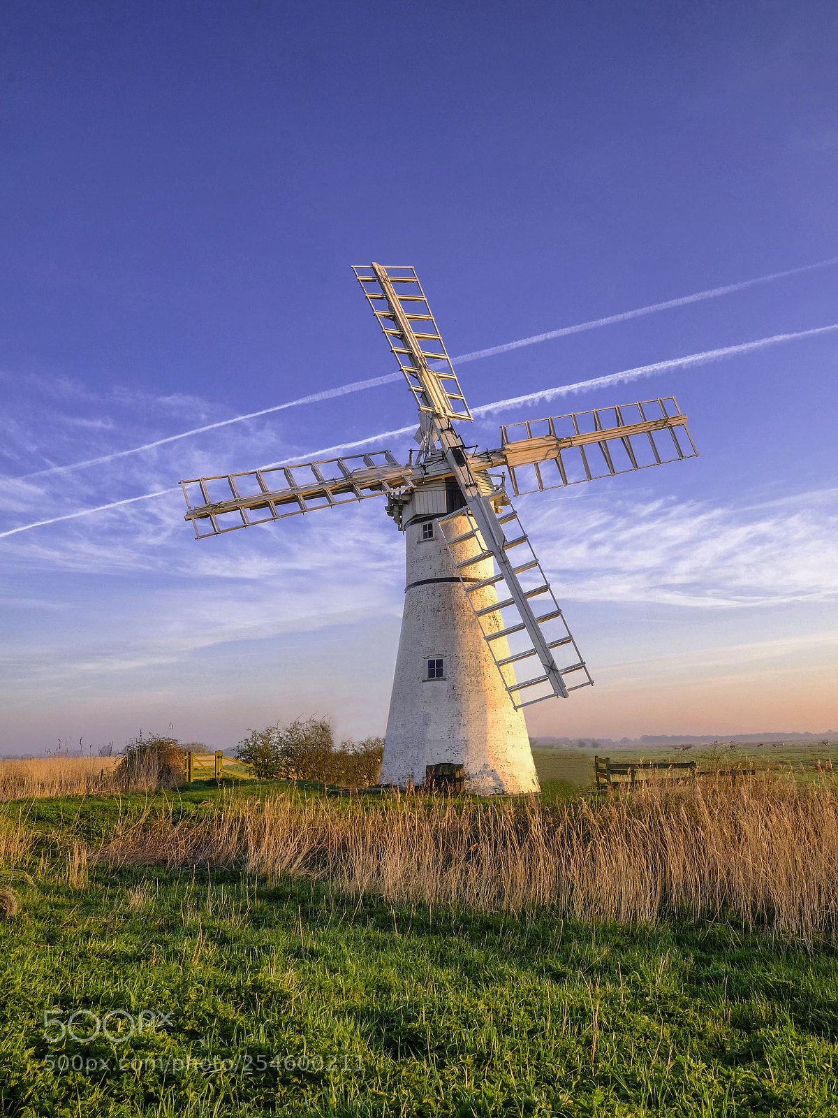 Fujifilm X-T2 sample photo. Thurne mill photography