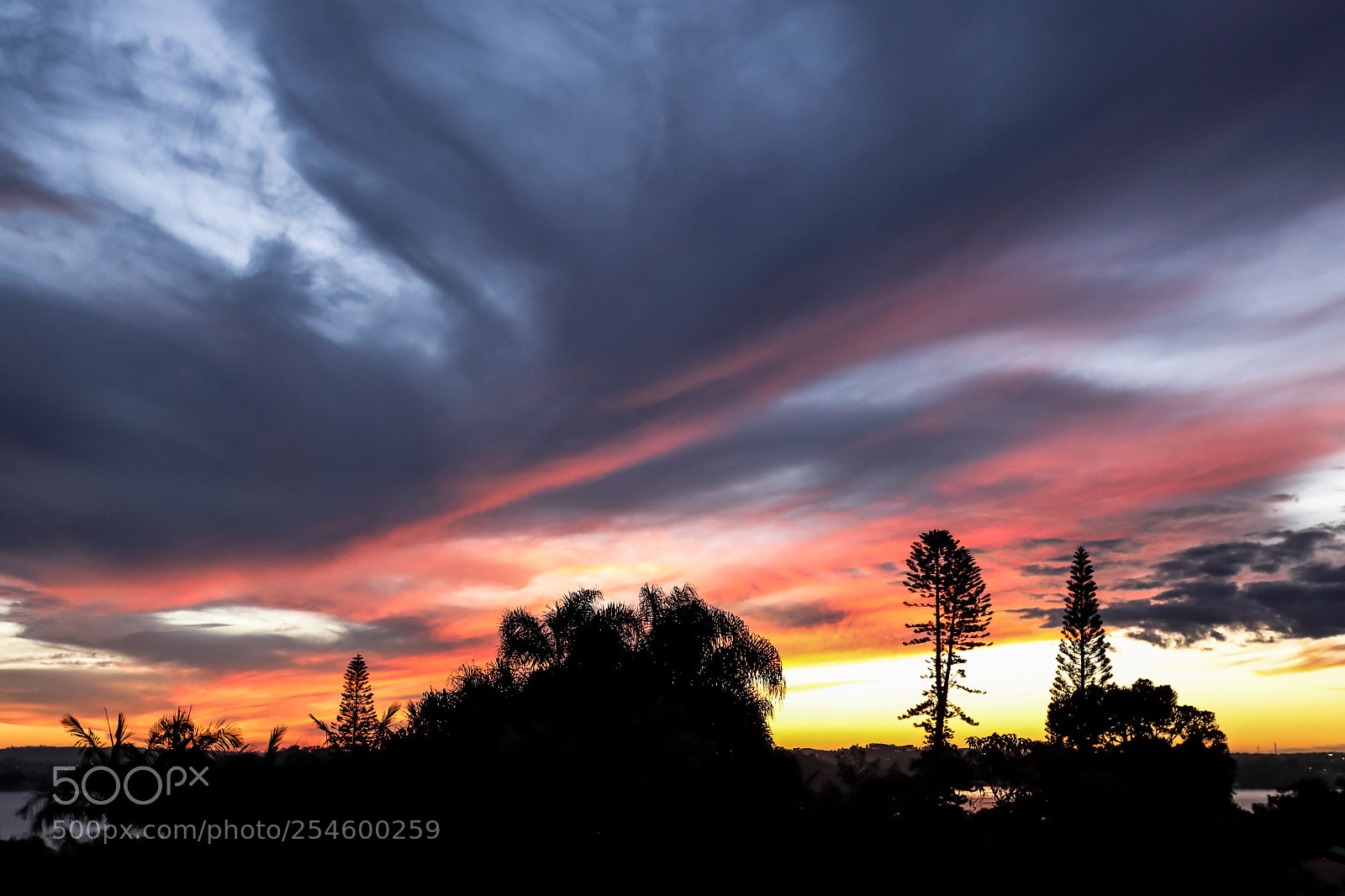 Canon EOS 5D Mark IV sample photo. Nature vibes | sunset  photography