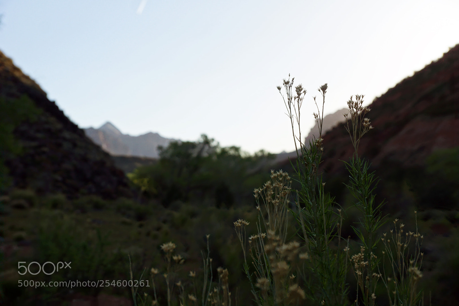 Sony SLT-A77 sample photo. Before the warm photography