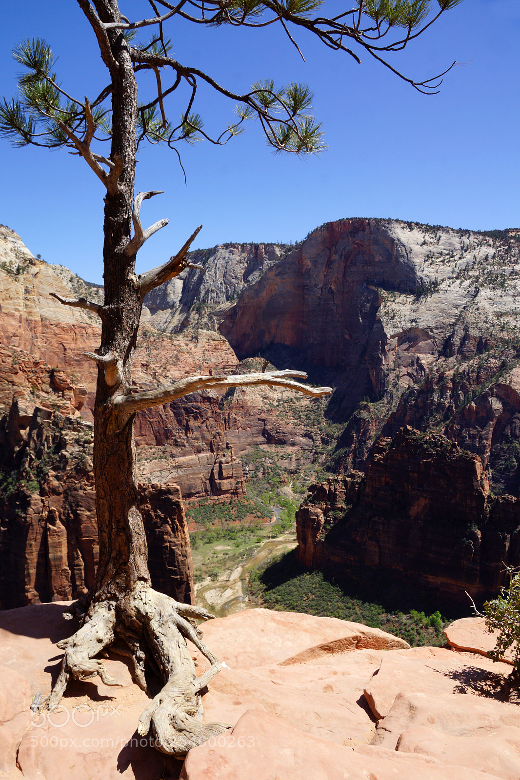 Sony SLT-A77 sample photo. Conquering the rocks photography