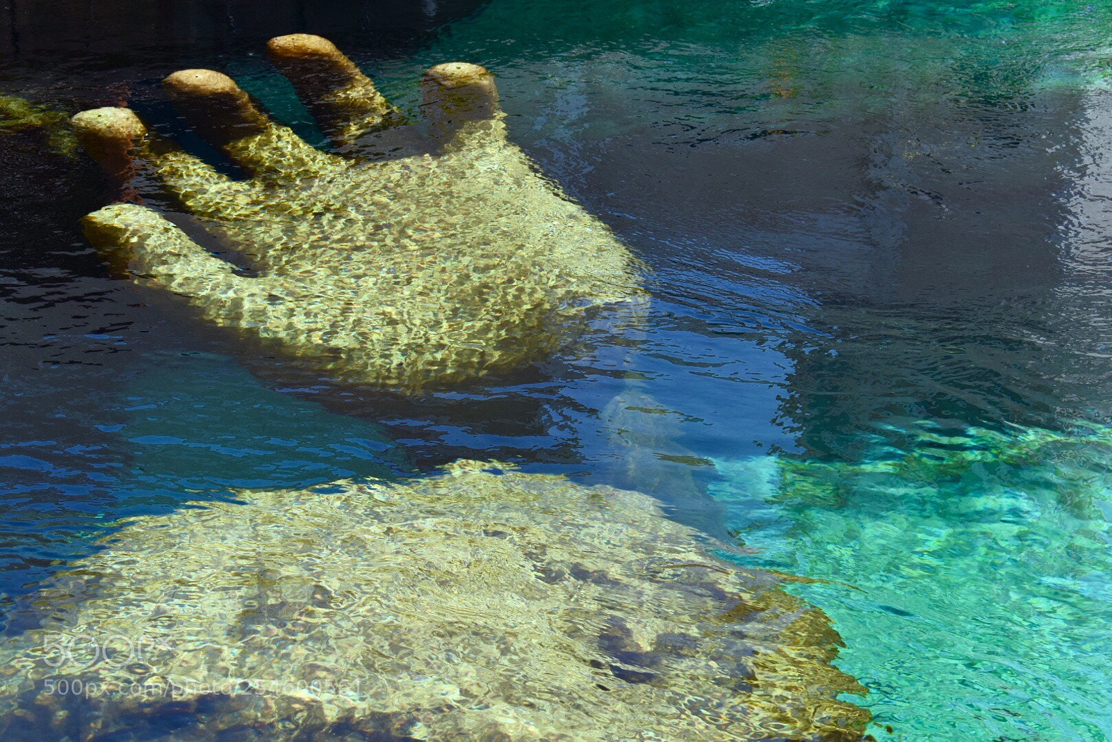 Nikon D5600 sample photo. The hand of water photography
