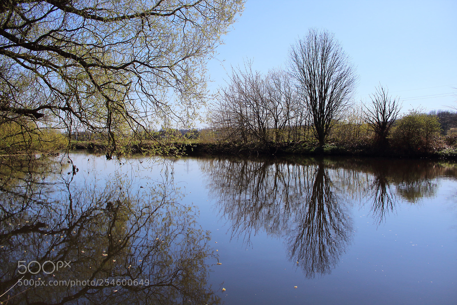 Canon EOS 1300D (EOS Rebel T6 / EOS Kiss X80) sample photo. Reflection on the aire photography