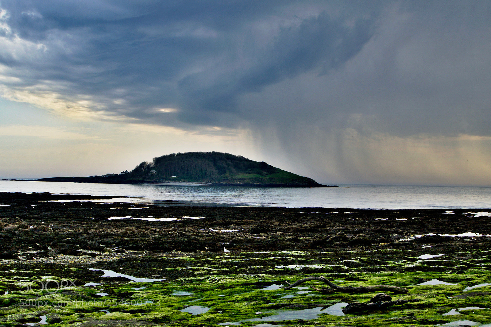 Nikon D3300 sample photo. April showers photography