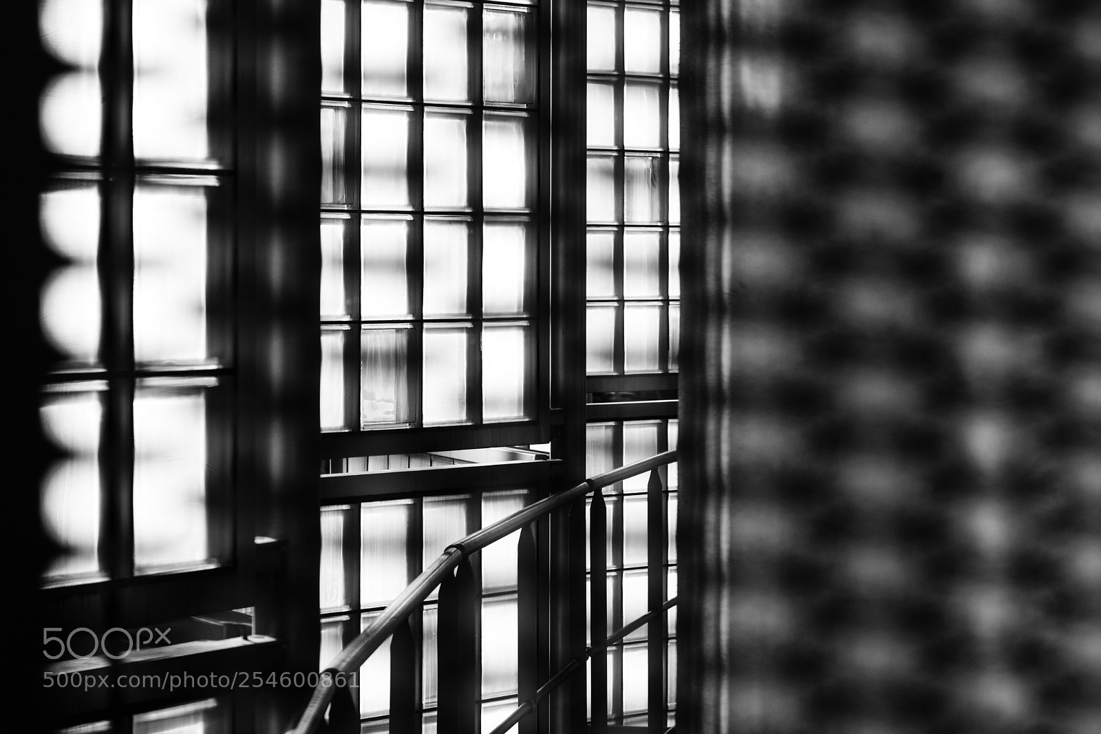 Nikon D7200 sample photo. Untitled photography