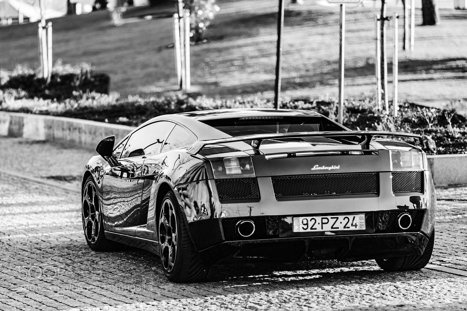 Canon EOS 80D sample photo. Gallardo photography